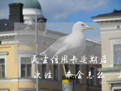 民生信用卡逾期后協(xié)商還款說一次性還本金怎么辦（民生信用卡逾期后協(xié)商還款）