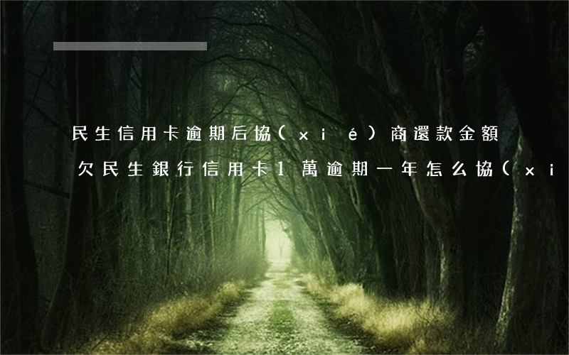 民生信用卡逾期后協(xié)商還款金額(欠民生銀行信用卡1萬逾期一年,怎么協(xié)商還款)