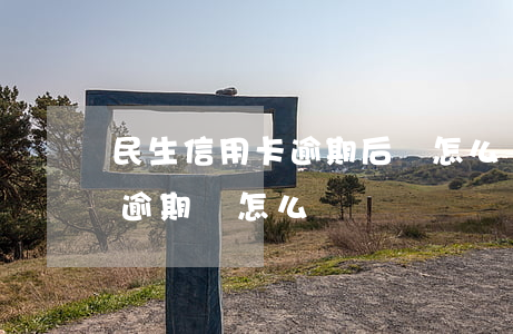 民生信用卡逾期后會怎么樣(民生銀行信用卡逾期會怎么樣)