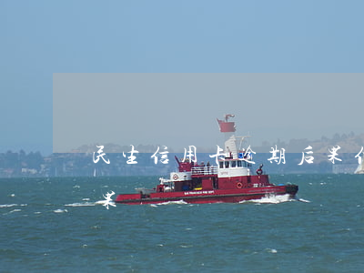 民生信用卡逾期后果(信用社便民卡逾期的后果)