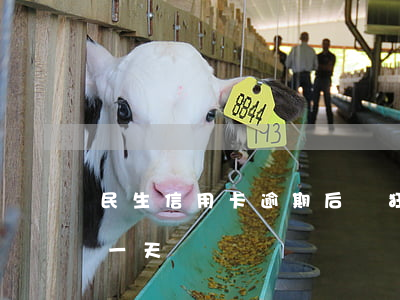 民生信用卡逾期后瘋狂騷擾(民生信用卡 逾期一天)