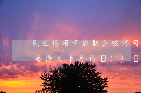 民生信用卡逾期后被停用-民生銀行因逾期而停用卡片已經(jīng)一年了,能恢復么