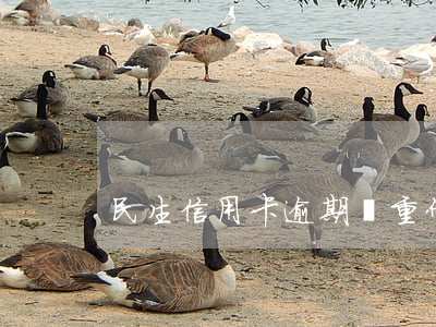 民生信用卡逾期嚴重什么后果(民生 逾期)