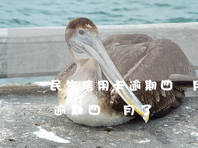 民生信用卡逾期四個月了怎么辦（民生信用卡逾期四個月了）