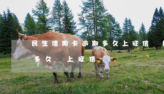 民生信用卡逾期多久上征信嗎(民生貸款逾期多久會上征信)