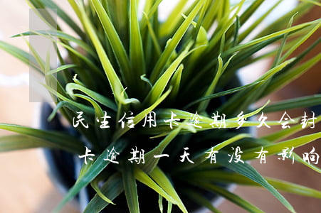 民生信用卡逾期多久会封卡降(民生银行信用卡逾期一天有没有影响?)