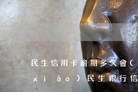 民生信用卡逾期多久會(huì)被核銷(xiāo)(民生銀行信用卡逾期會(huì)怎么樣)