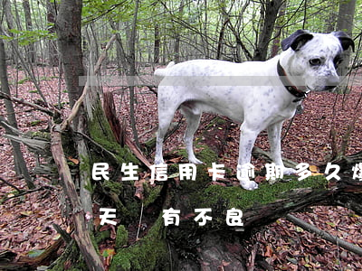 民生信用卡逾期多久爆通訊錄(民生卡逾期三天會有不良記錄)