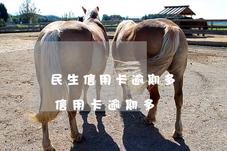 民生信用卡逾期多長時間會上門催收-民生信用卡逾期多長時間會上門催收呢