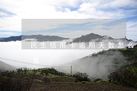 民生信用卡逾期天數怎么算(民生逾期利息計算)