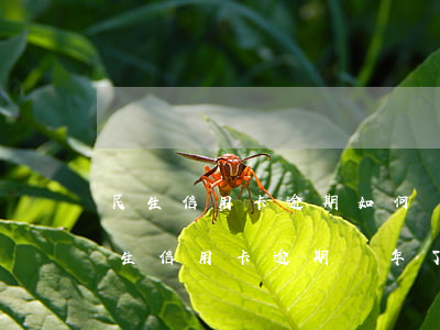 民生信用卡逾期如何協(xié)商還款(民生信用卡逾期兩年了能協(xié)商只還本金嗎)
