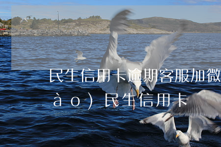 民生信用卡逾期客服加微信(微信公眾號(hào)民生信用卡)