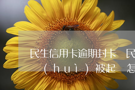 民生信用卡逾期封卡嗎(民生信用卡逾期多久會(huì)被起訴怎么處理)