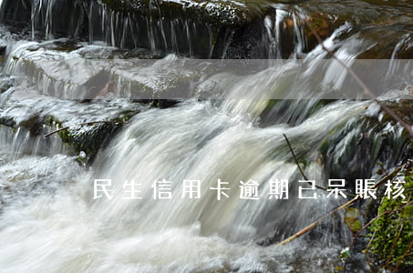 民生信用卡逾期已呆賬核銷(民生銀行呆賬)