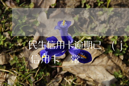 民生信用卡逾期已經(jīng)停卡(民生信用卡異常)