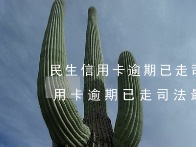 民生信用卡逾期已走司法最后階段-民生信用卡逾期已走司法最后階段怎么辦