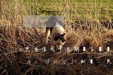 民生信用卡逾期幾千塊會(huì)被強(qiáng)制嗎-民生信用卡逾期幾千塊會(huì)被強(qiáng)制嗎知乎