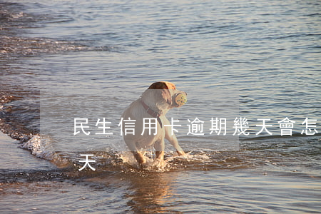 民生信用卡逾期幾天會怎樣(民生可以逾期幾天)