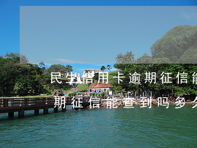 民生信用卡逾期征信能查到吗(民生信用卡逾期征信能查到吗多久)