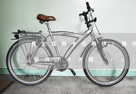 民生信用卡逾期快3個月(民生信用卡逾期3個月了今天發(fā)信息來說)