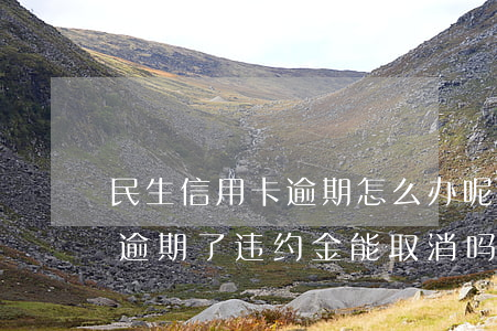 民生信用卡逾期怎么办呢(民生银行的信用卡逾期了违约金能取消吗)
