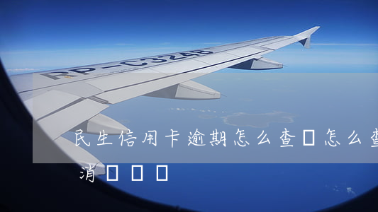 民生信用卡逾期怎么查詢(怎么查民生信用卡消費記錄)