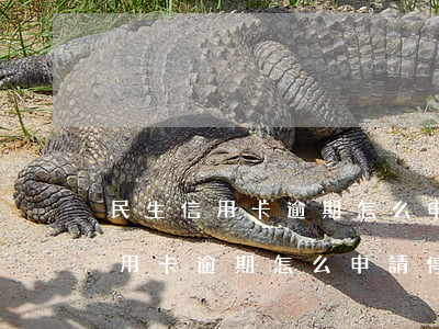 民生信用卡逾期怎么申請停息掛賬-民生信用卡逾期怎么申請停息掛賬的