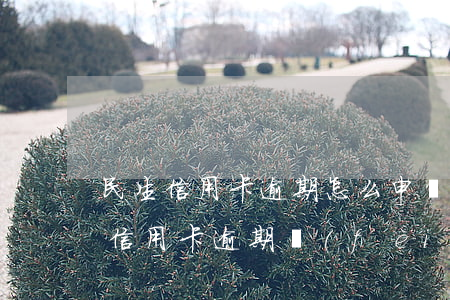 民生信用卡逾期怎么申請減免-怎樣和銀行信用卡逾期費(fèi)用減免