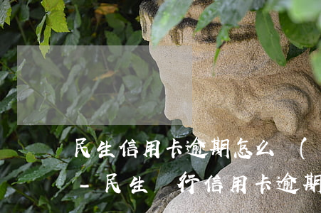 民生信用卡逾期怎么聯(lián)系還款-民生銀行信用卡逾期會(huì)怎么樣