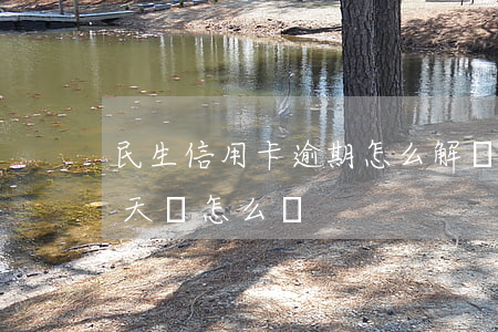 民生信用卡逾期怎么解決(民生信用卡逾期兩天會怎么樣)