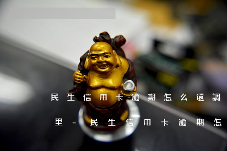 民生信用卡逾期怎么還調(diào)查家里-民生信用卡逾期怎么還調(diào)查家里人信息