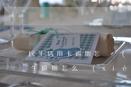 民生信用卡逾期怎樣協(xié)商還款(民生逾期怎么協(xié)商)
