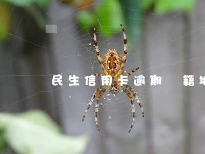 民生信用卡逾期戶籍地處理方法全攻略