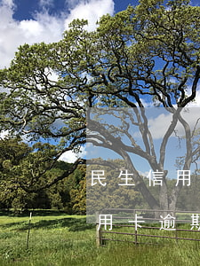 民生信用卡逾期打电话说要起诉我-民生信用卡逾期打电话说要起诉我是真的吗