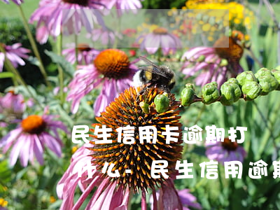 民生信用卡逾期打給聯(lián)系人說什么-民生信用逾期會打電話說要上門?