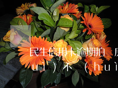 民生信用卡逾期拍賣房子(信用卡逾期會(huì)不會(huì)拍賣名下按揭房)