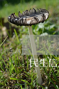 民生信用卡逾期提額方法（民生信用卡逾期提額）