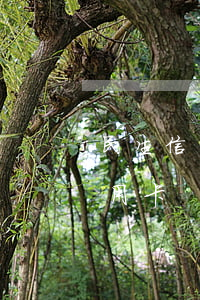 民生信用卡逾期收到ems邮件(ems寄信用卡)