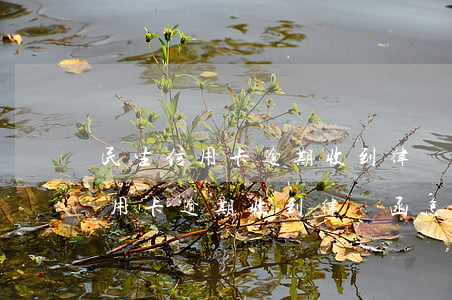 民生信用卡逾期收到律師函怎么辦-民生信用卡逾期收到律師函怎么辦理