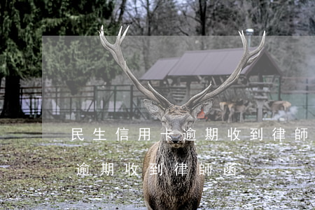 民生信用卡逾期收到律師函怎么辦(因信用卡逾期收到律師函)