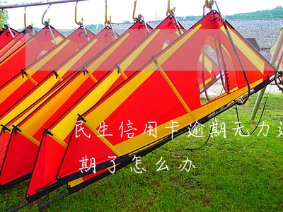 民生信用卡逾期无力还款怎么办(民生贷款逾期了怎么办)