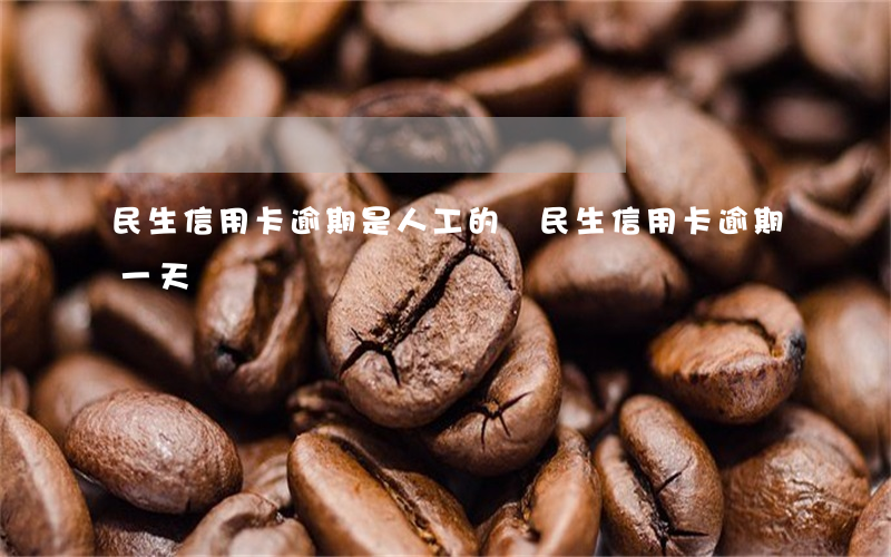 民生信用卡逾期是人工的嗎(民生信用卡 逾期一天)
