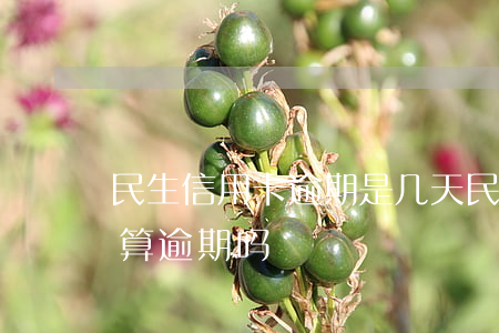 民生信用卡逾期是几天(民生信用卡晚一天还算逾期吗)