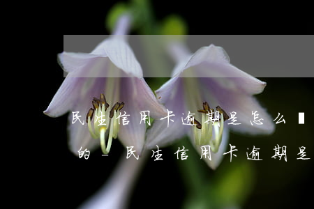 民生信用卡逾期是怎么協(xié)商分期的-民生信用卡逾期是怎么協(xié)商分期的