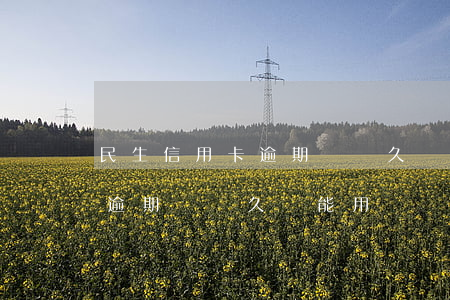 民生信用卡逾期時間久還能用嗎(民生信用卡逾期時間久還能用嗎)