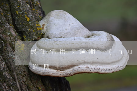 民生信用卡逾期會(huì)上門嘛-民生逾期上門嗎