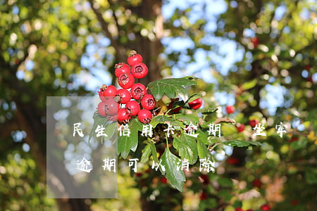 民生信用卡逾期會坐牢嗎(因坐牢造成信用卡逾期可以消除嗎)