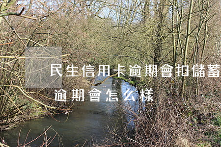 民生信用卡逾期會扣儲蓄卡(民生銀行信用卡逾期會怎么樣)