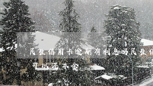 民生信用卡逾期有利息吗(民生信用卡逾期说可以还本金)