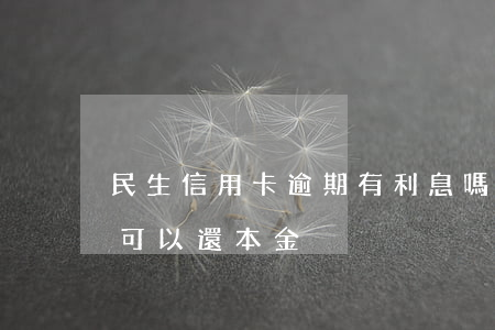 民生信用卡逾期有利息嗎(民生信用卡逾期說可以還本金)